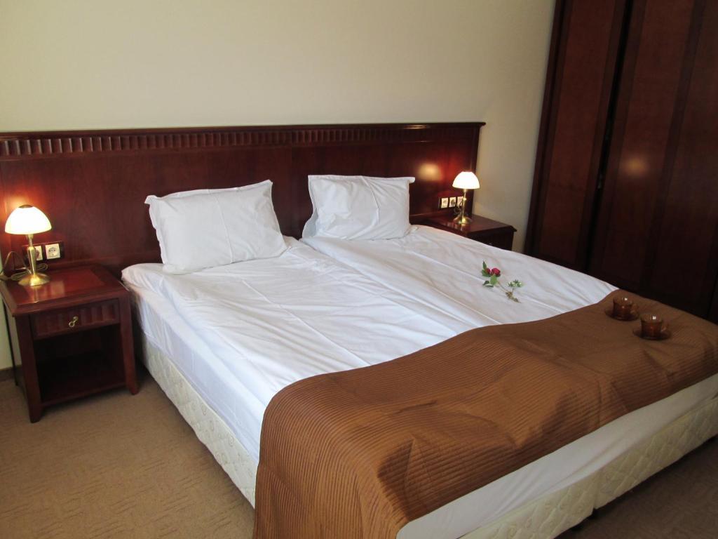 Downtown Alexander Services Apartments Bansko Zimmer foto